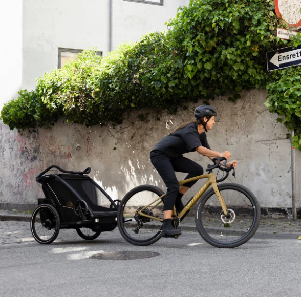 Thule Chariot Sport 2 Single - Image 15