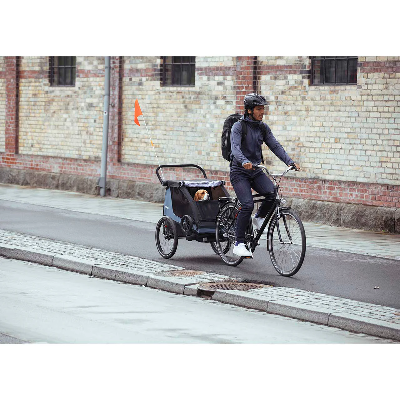 Thule Courier Dog Trailer Kit - Image 5